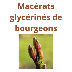 Pr&eacute;sentation des phyto'gem phyto-france
